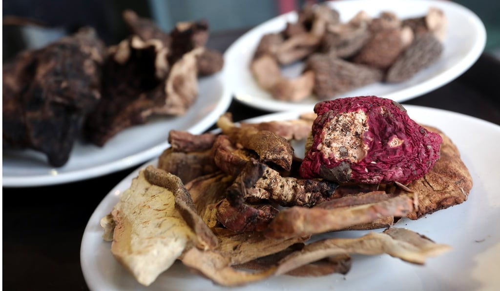 Mushrooms figure prominently on the menu at Ashima Yunnan Restaurant in Taikoo Shing. Photo: Jonathan Wong