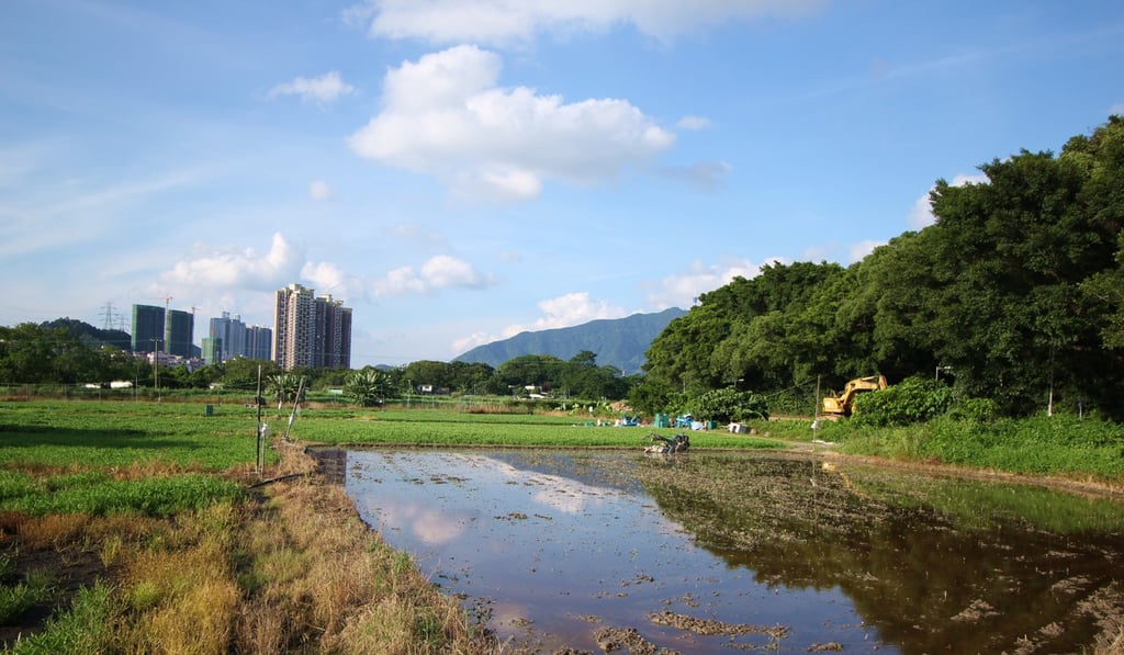 The study area covered some 5,300 hectares. Photo: Shutterstock The study area covered some 5,300 hectares. Photo: Shutterstock