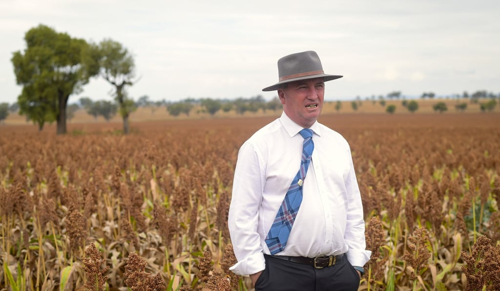 Barnaby Joyce, Australia's former deputy PM. File photo: Reuters