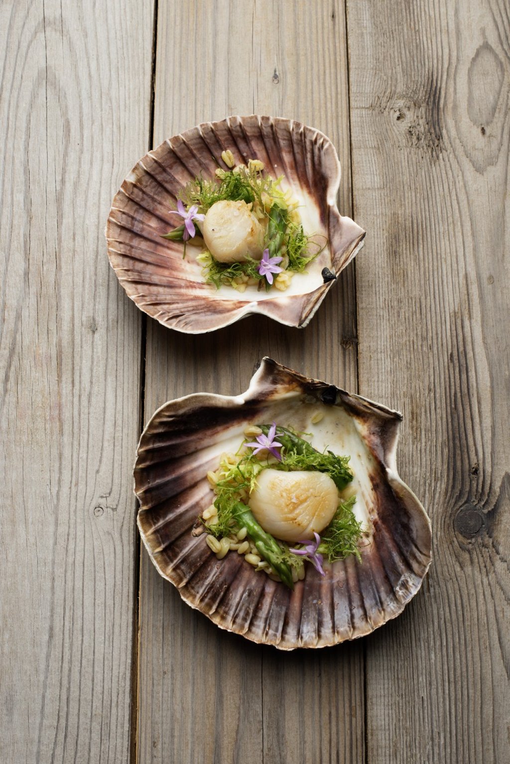 scallops and seaweed, a dish featured in the cook book Algen und Küstengemüse. Photo: Kranz Hobl/Mattaes verlag scallops and seaweed, a dish featured in the cook book Algen und Küstengemüse. Photo: Kranz Hobl/Mattaes verlag