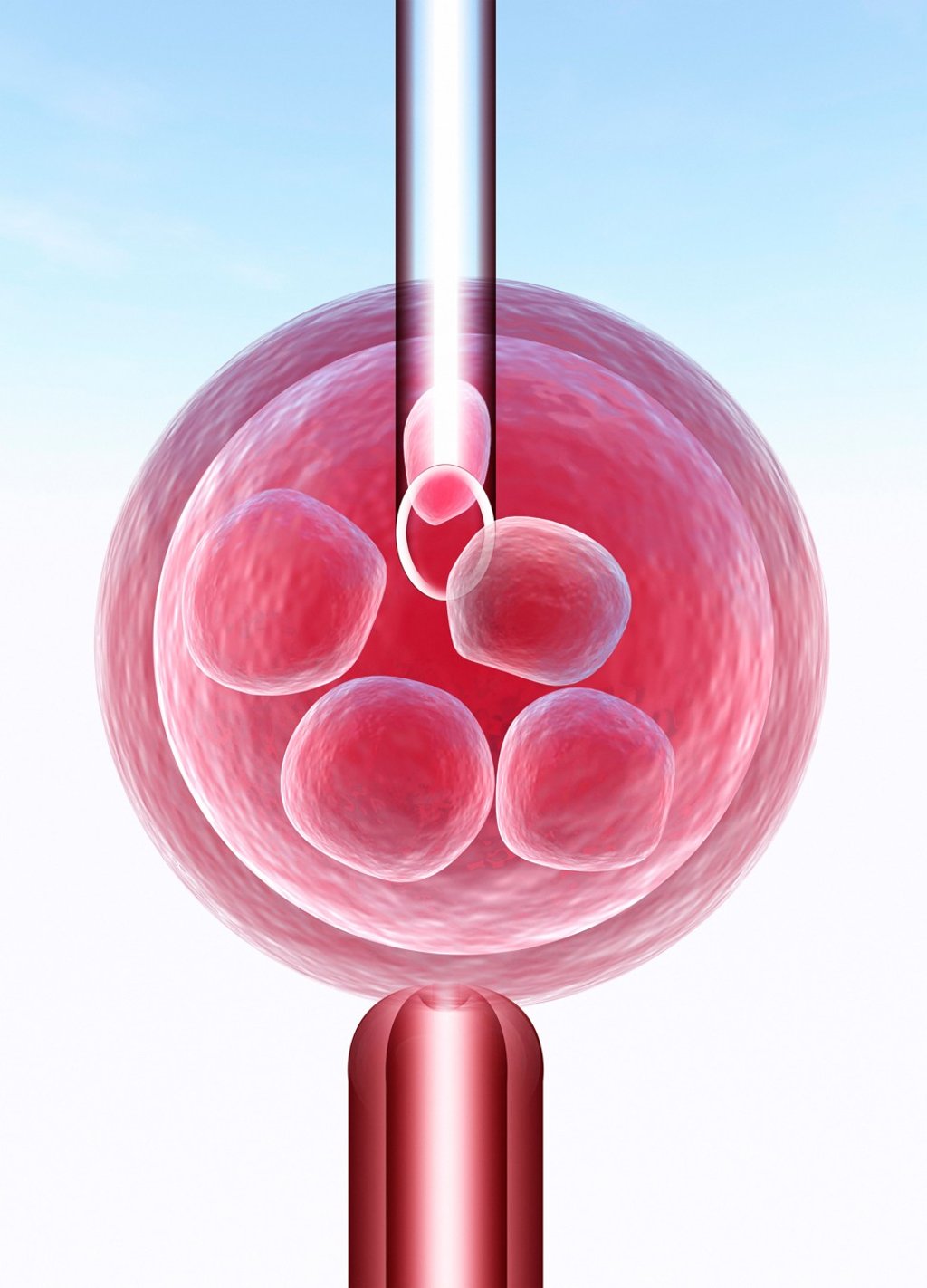 Wilma Janner turned to in vitro fertilisation (IVF) when she could not fall pregnant. Photo: Alamy Wilma Janner turned to in vitro fertilisation (IVF) when she could not fall pregnant. Photo: Alamy