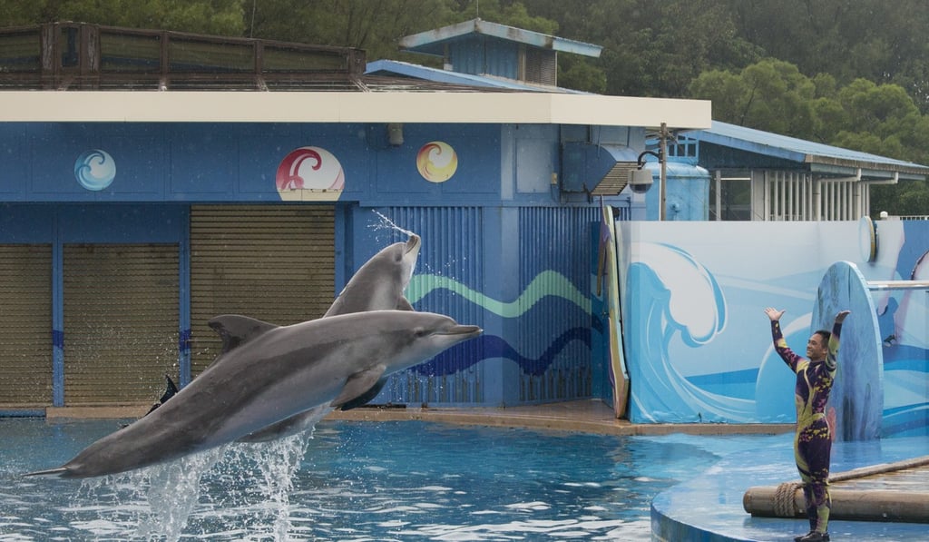 Dolphins perform with trainers at Ocean Theatre at Ocean Park. The park’s original mission was to educate the public on marine life. Photo: May Tse