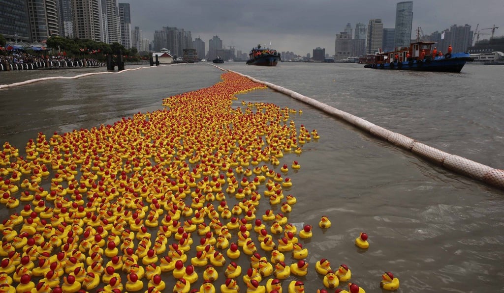 The world has become the rubber duck of Hong Kong’s bathtub. Rubber ducks wearing swimming caps and Special Olympic gold medals seen drifting down Shanghai’s Huangpu River in a charity event in 2013. Photo: EPA