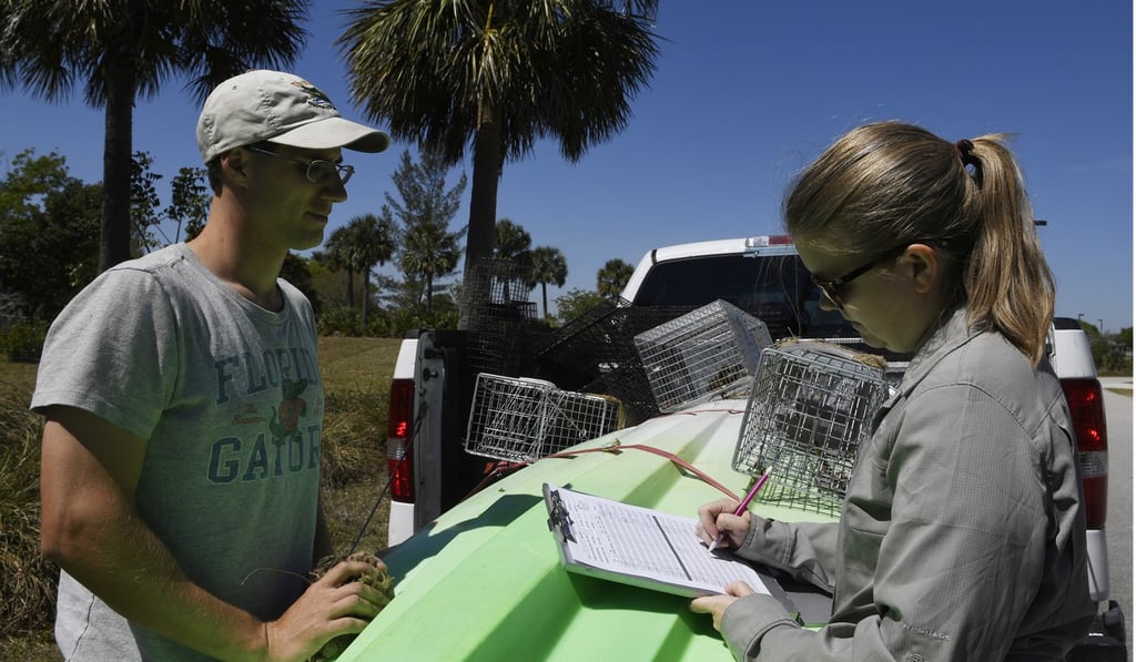 Nathan Schwartz, research technician, and Jenny Ketterlin, research coordinator for the University of Florida, collect data from traps at Quiet Waters Park in Deerfield Beach, Florida. Photo: TNS