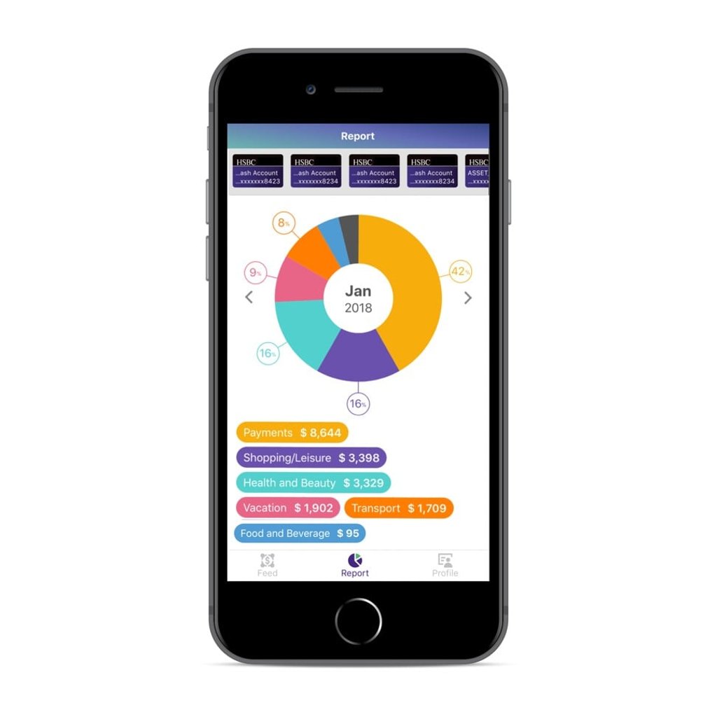 Users of the gini app can generate pie charts of their spending data.
