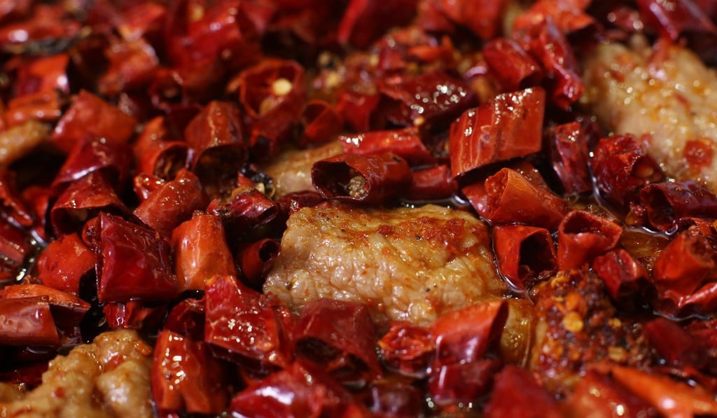 The Sichuan-style stewed beef dish at San Xi Lou.
