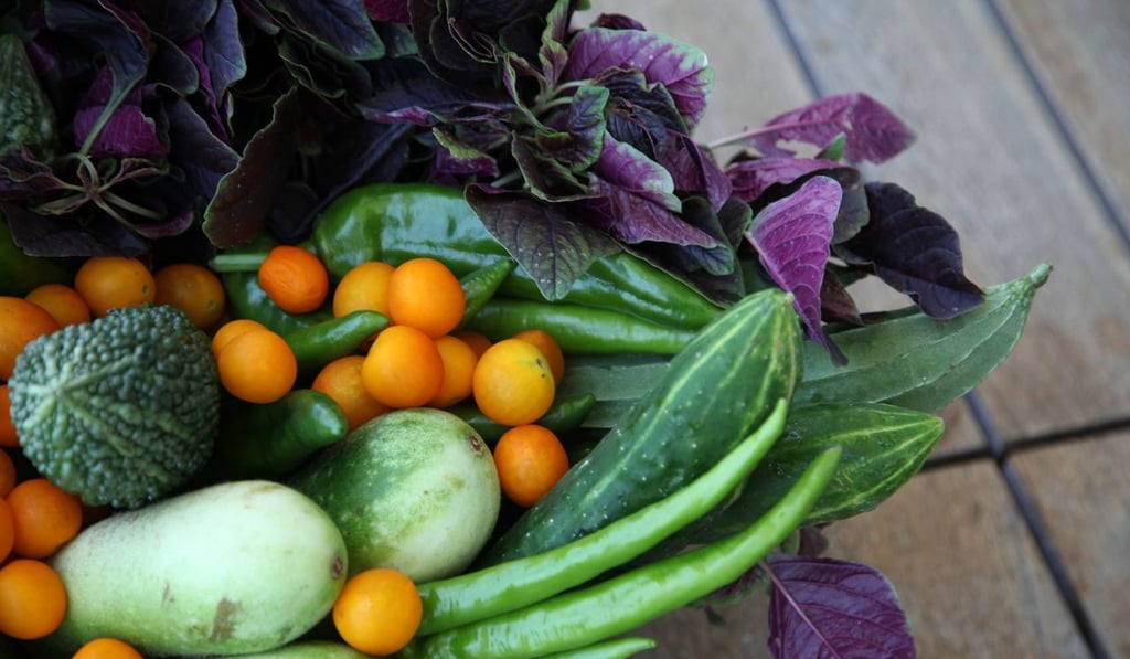 Shum started getting involved with agriculture in 2013, spurred on by the concepts of organic farming, a healthy diet and green living. Photo: Handout