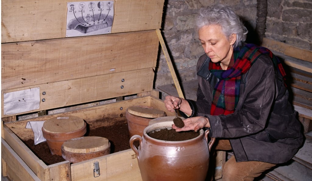 Under the tenure of Anne Claude Leflaive, Domaine Leflaive’s wines were converted to biodynamic. Picture: Alamy