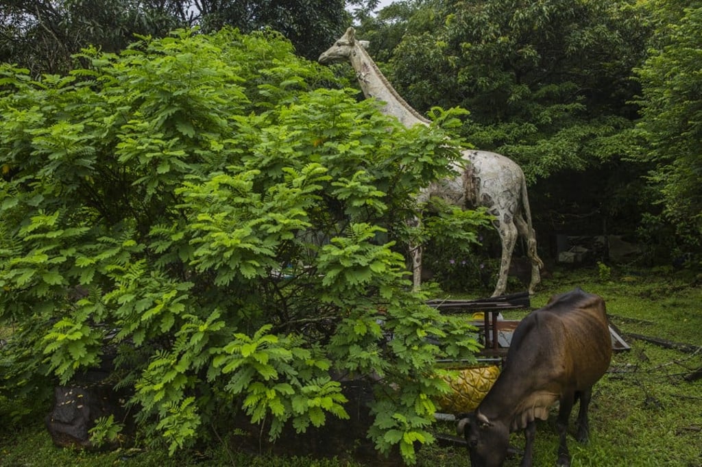 Sam Tsang was given second prize in the Nature and Environment category for his photo taken at Tai She Wan, the site of an abandoned resort theme park.
