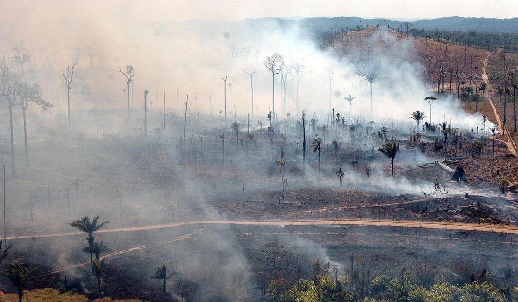 A deforested area in the Brazilian rainforest in southern Para state. Photo: Agence France-Presse