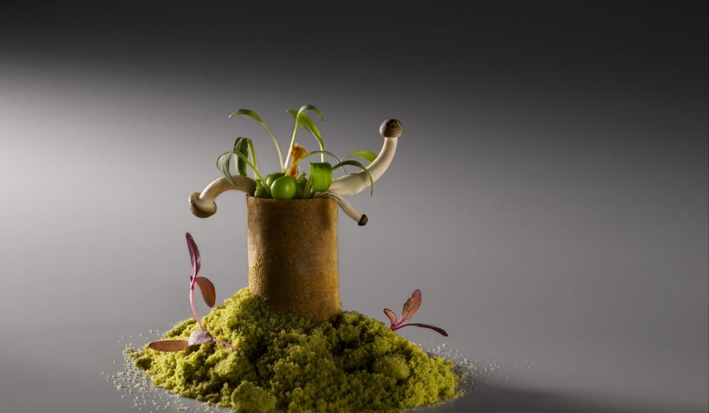 An elegantly presented mushroom roll by Gaggan Anand