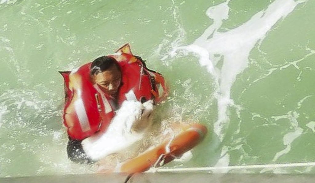 Police had to rescue the dog from Victoria Harbour. Photo: Hong Kong Police Facebook