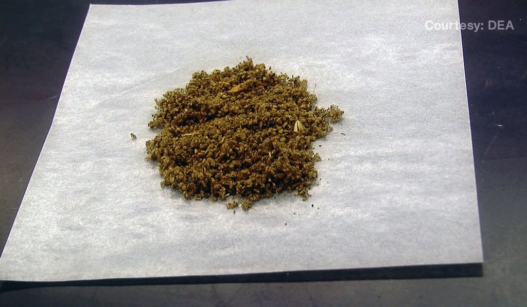 Synthetic marijuana, which is also known as K2 and Spice, is a man-made mixture of hundreds of chemicals. Photo: DEA