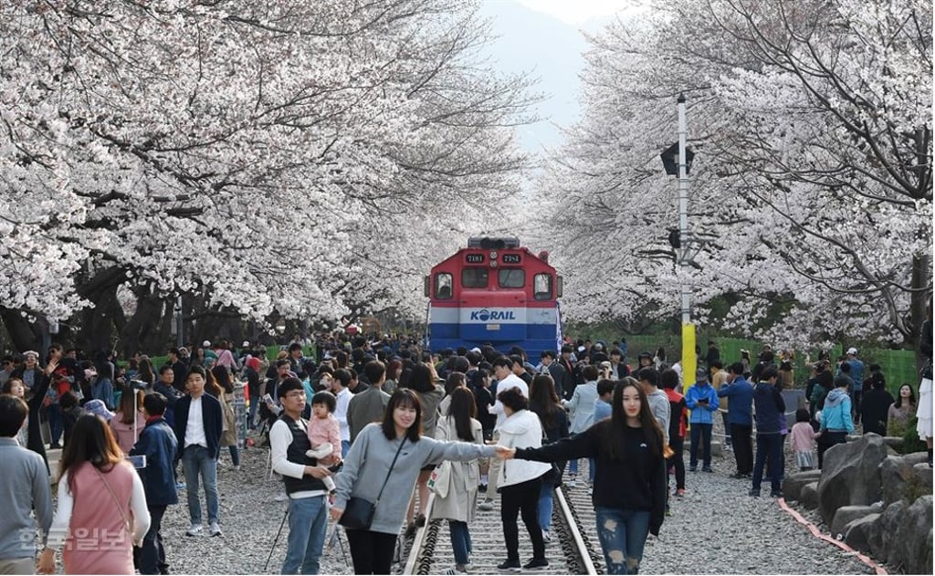 Photo: Hankook Ilbo