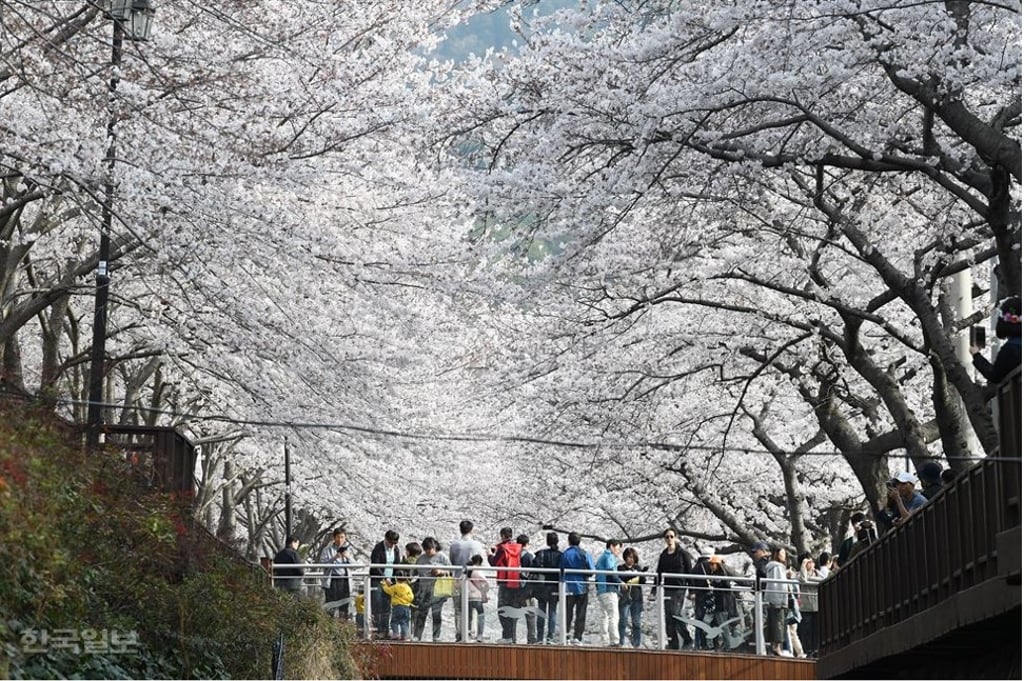 Photo: Hankook Ilbo