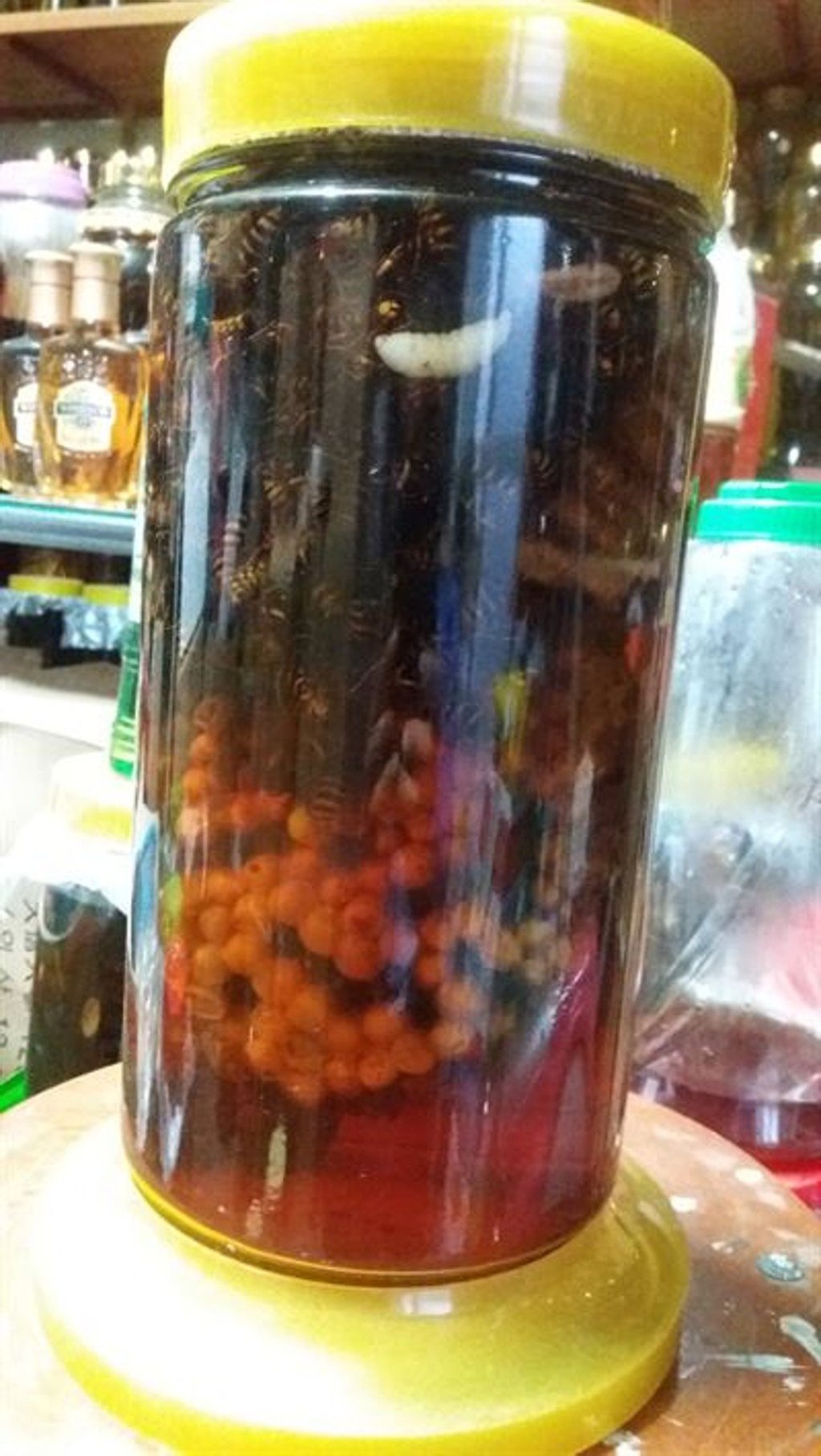 A wasp nest with larvae in a bottle of soju. South Koreans who enjoy a rare flavour of soju, the country’s most beloved alcohol, have been discouraged from mixing wasps into their drinks as a tonic after a health warning from the food ministry. Photo: Korea Times A wasp nest with larvae in a bottle of soju. South Koreans who enjoy a rare flavour of soju, the country’s most beloved alcohol, have been discouraged from mixing wasps into their drinks as a tonic after a health warning from the food ministry. Photo: Korea Times