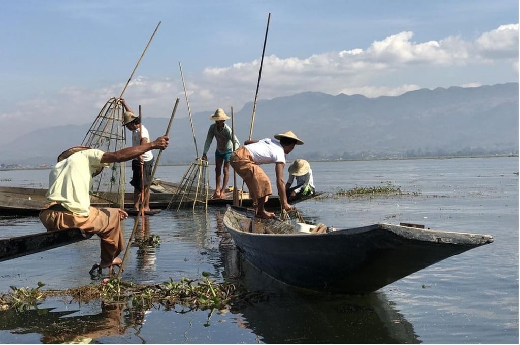 Photo: Nikki Ekstein