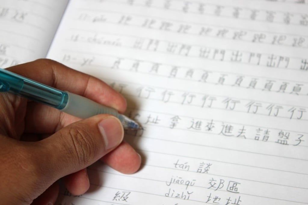 A complex system of characters, Chinese can prove to be tough to master for some. Photo: Shutterstock