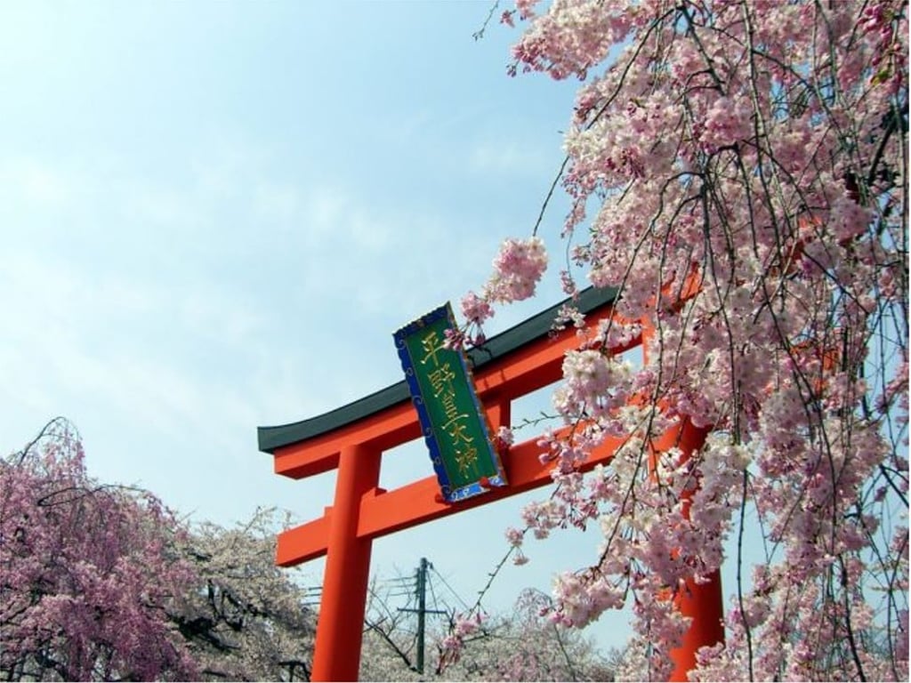 Cherry blossoms at Kyoto’s Hirano Shrine. Photos: Wanderluxe by The Luxe Nomad