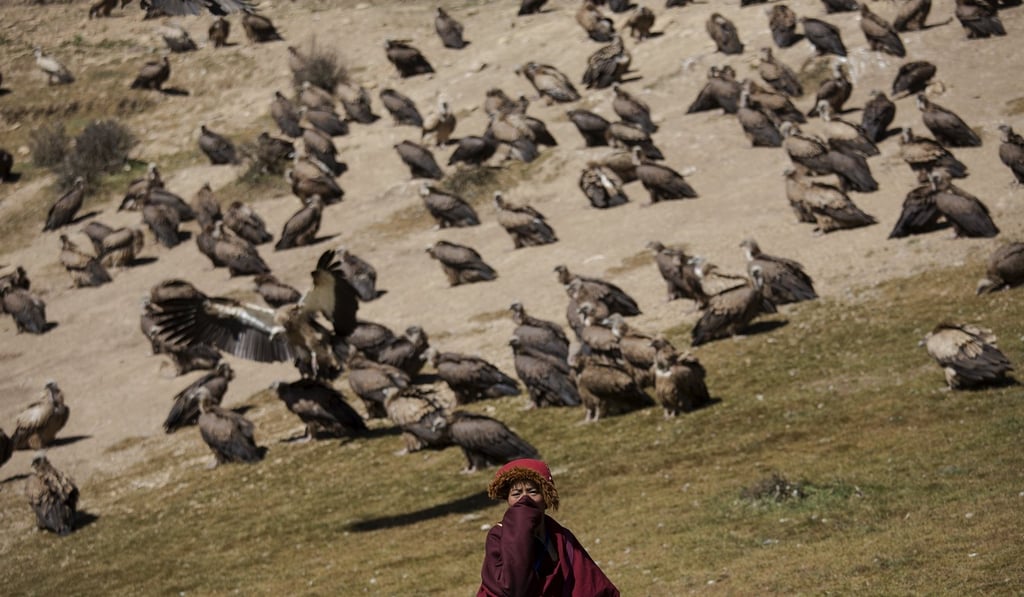 A Tibetan Buddhist monk protects himself from the smell of decomposing bodies as vultures come. Photo: Reuters A Tibetan Buddhist monk protects himself from the smell of decomposing bodies as vultures come. Photo: Reuters
