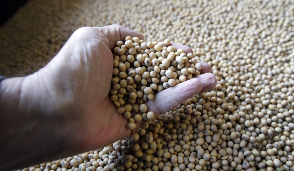 Soybeans are among the US farm products China has threatened to hit with punitive tariffs as part of the growing trade dispute. Photo: AP