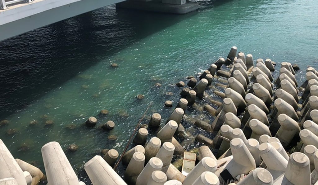 Image released by the Highways Department showing the structures around the artificial island. Photo: Handout