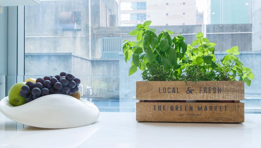 House plants are good for the home and its occupants and you could even grow your own salad greens. Photo: Liquid Interiors