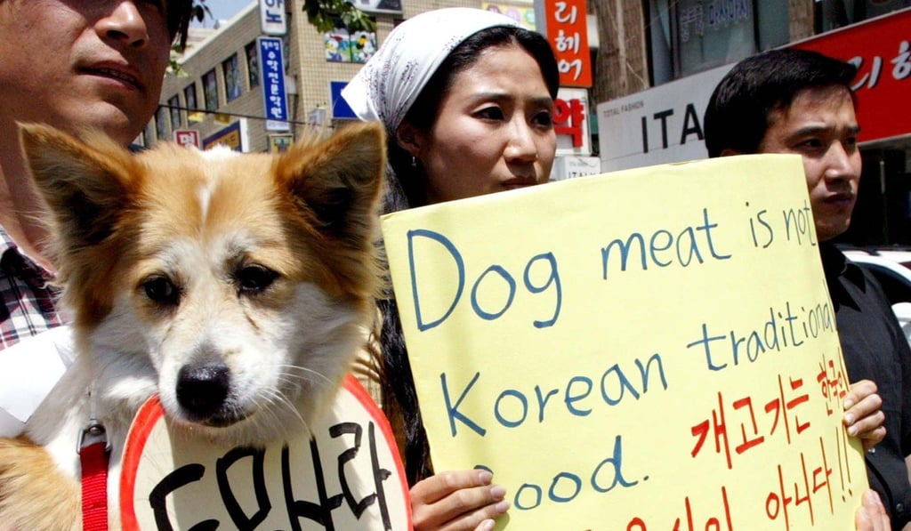 Animal rights activists protest against South Korea's culture of eating dog meat. Photo: AP
