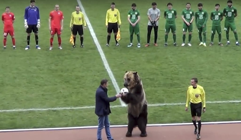 The bear performance has been slammed by animal rights groups. Photo: AP