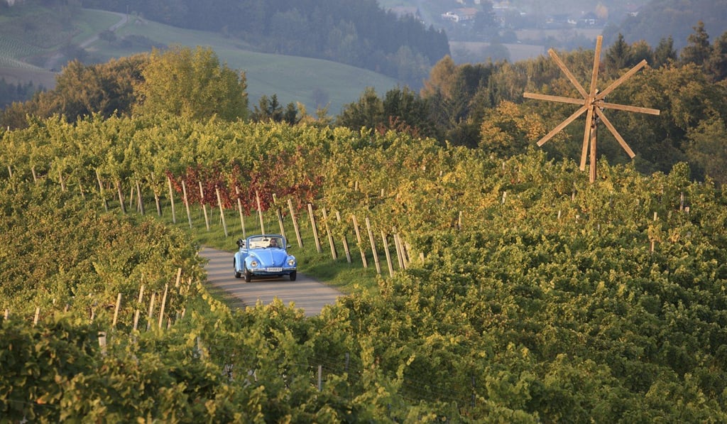 Vineyards in Styria, Austria