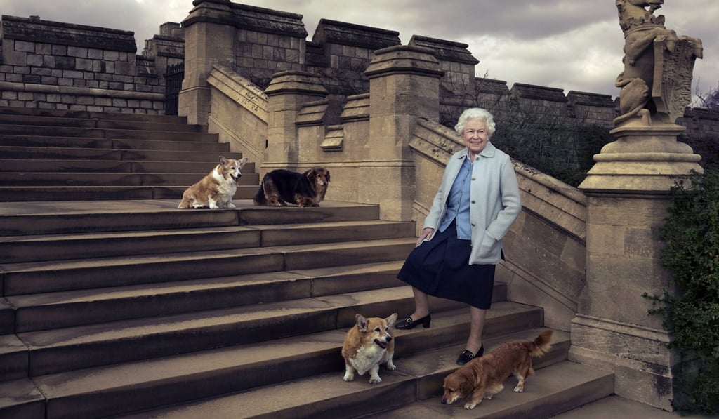 Queen Elizabeth is seen with her corgis and dorgies (part corgi, part dachsund) in 2016. Photo: Annie Leibovitz via AP