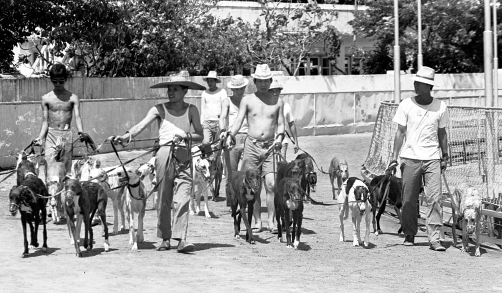 The facility opened in 1931 and saw a new push in the 1960s as Macau sought to become a gambling hub. Photo: C.Y. Yu The facility opened in 1931 and saw a new push in the 1960s as Macau sought to become a gambling hub. Photo: C.Y. Yu