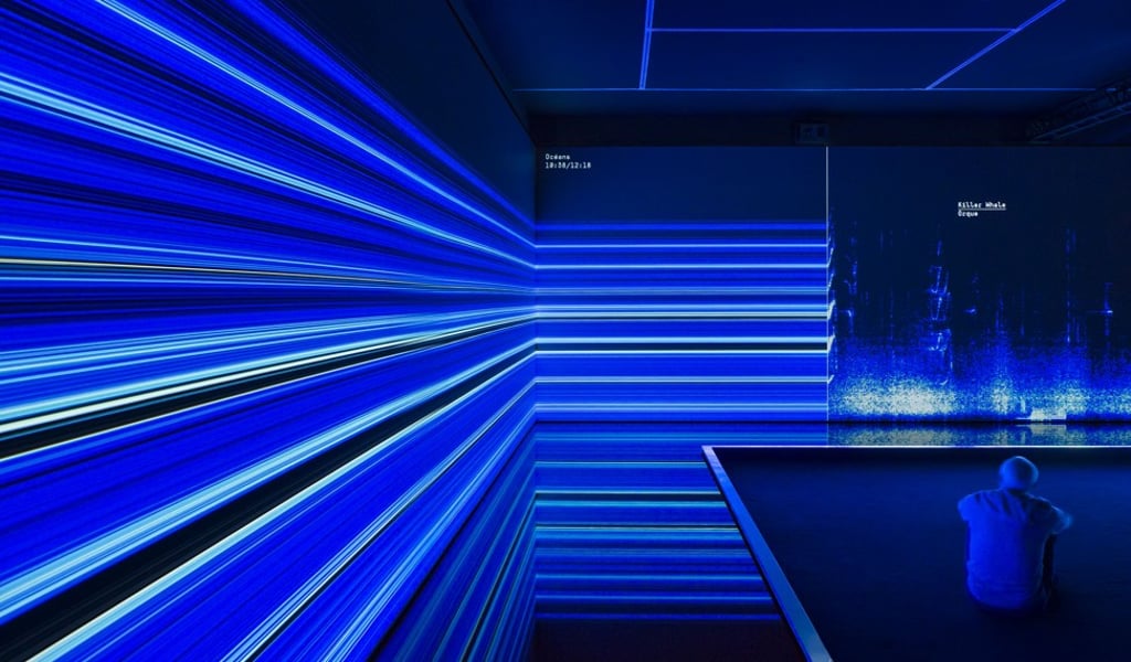 ‘The Great Animal Orchestra’ by Bernie Krause and United Visual Artists, 2016. Photo: Luc Boegly ‘The Great Animal Orchestra’ by Bernie Krause and United Visual Artists, 2016. Photo: Luc Boegly