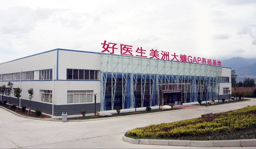 Gooddoctor Pharmaceutical Group’s cockroach farm in Xichang. Photo: HANDOUT