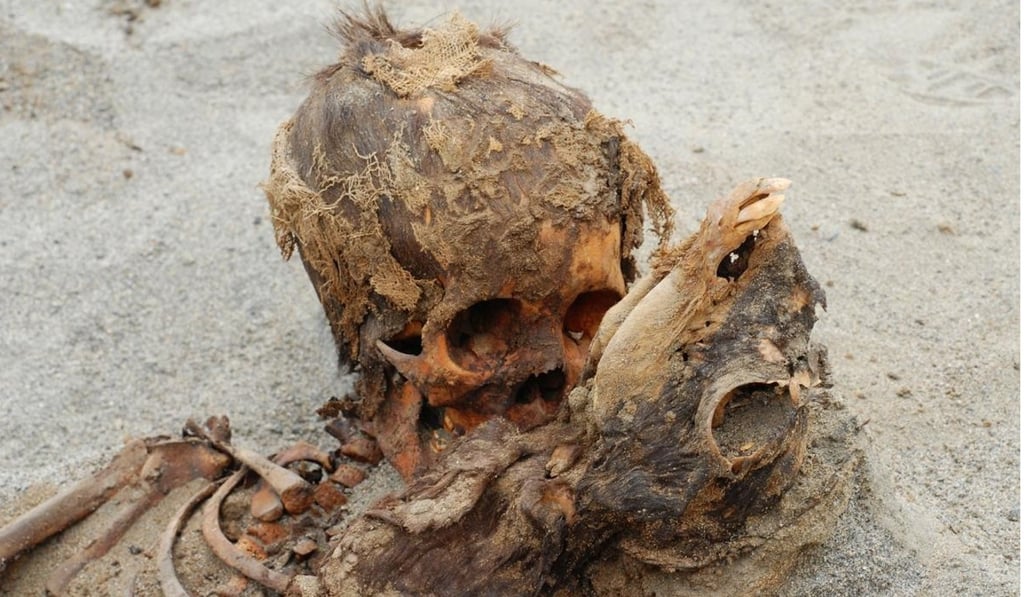 The skulls of a child and a llama calf are seen at the site of a mass slaughter that took place in Peru about 550 years ago. Photo: Gabriel Prieto / National Geographic