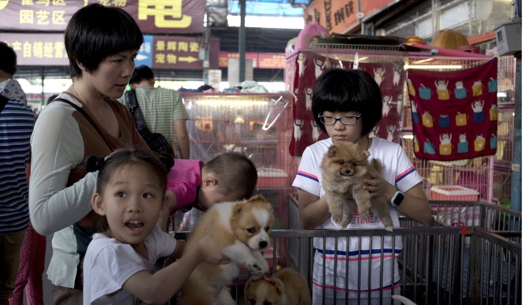 Children play with puppies at the Yuehe pet market in Fangcun. Photo: Xiaomei Chen