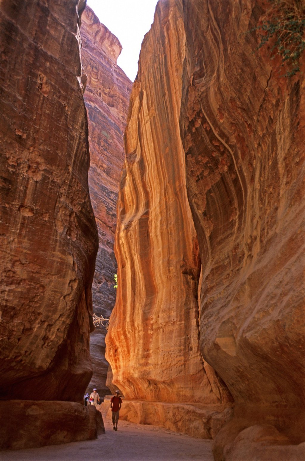 The Siq, a narrow gorge that leads into Petra, in Jordan. Picture: Alamy