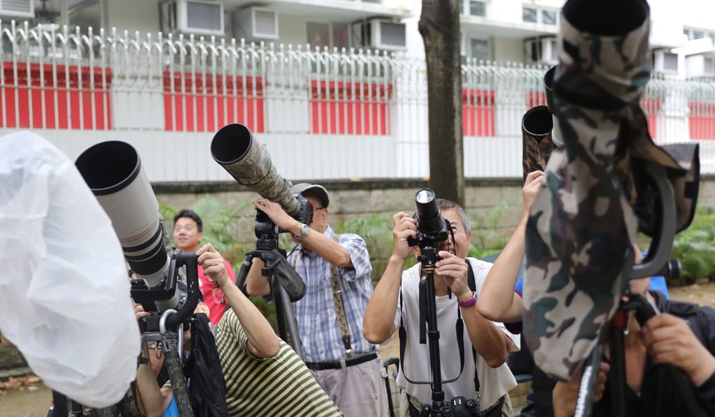 Photographers at Lok Wah Street Playground hoping to capture shots of the birds. Photo: Sam Tsang