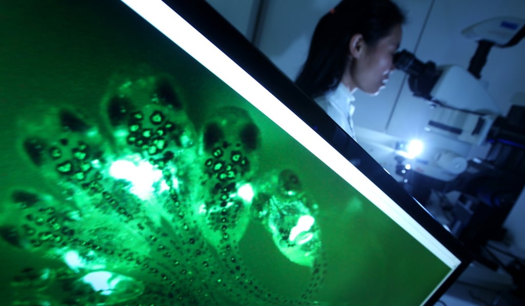 The new hires must be engaged in seven areas including biotechnology.