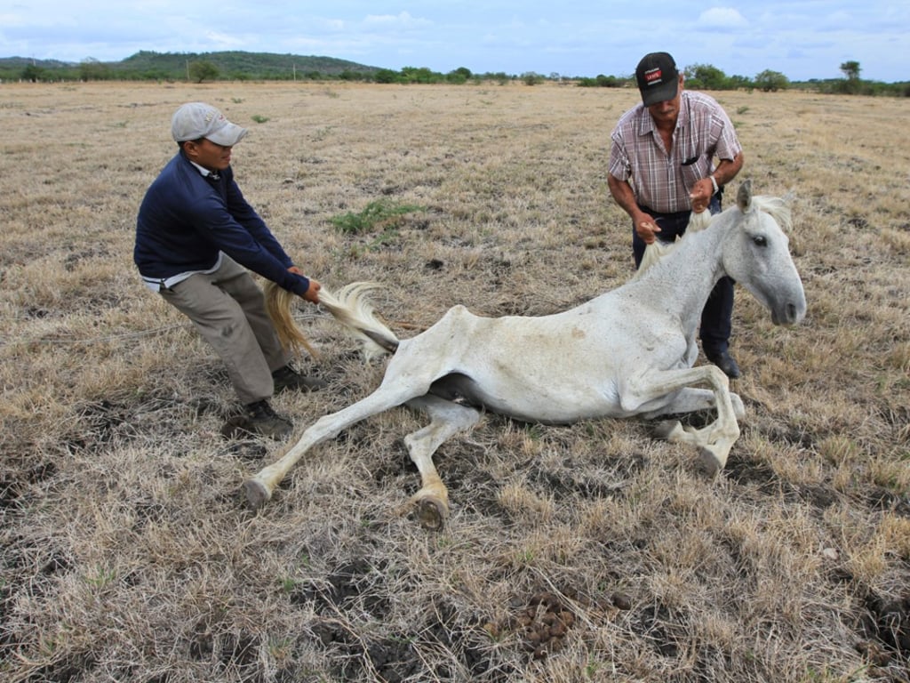 Photo: REUTERS/Oswaldo Rivas Photo: REUTERS/Oswaldo Rivas