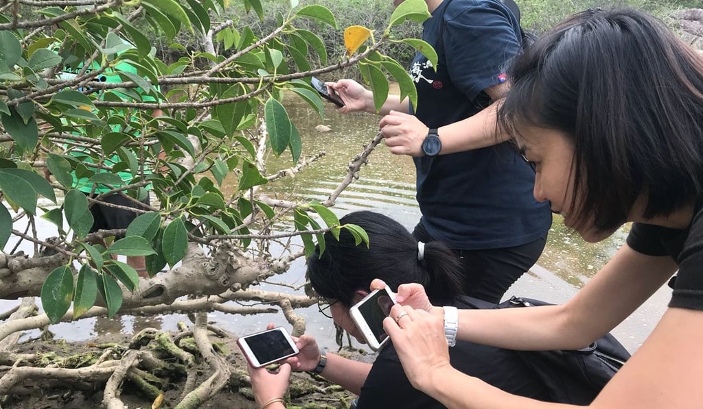 Participants in last month’s City Nature Challenge. Participants in last month’s City Nature Challenge.