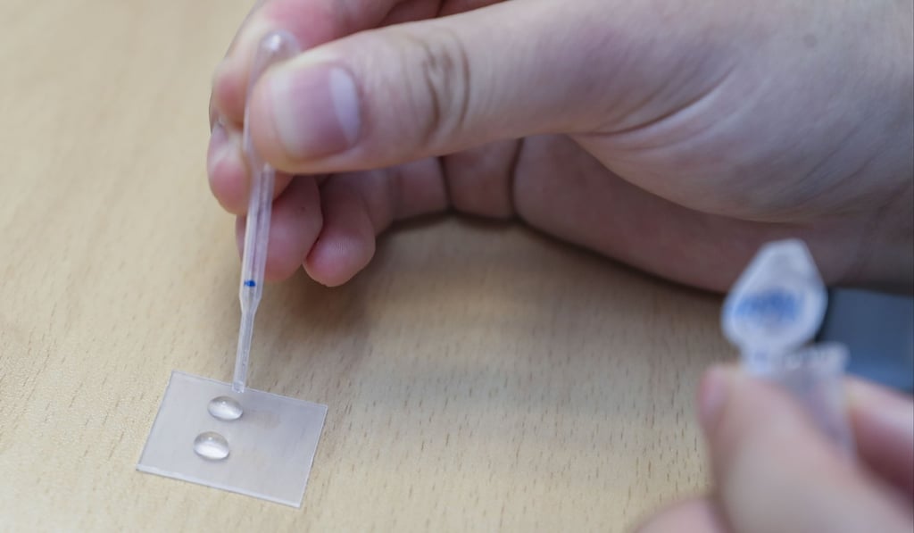 The device can detect as little as 2 micrograms of lead per litre of water. Photo: Winson Wong