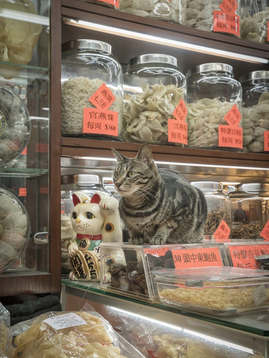 Takeover target Jiangzhong Group is the country’s fifth largest Chinese traditional medicine maker. Photo: Marcel Heijnen.