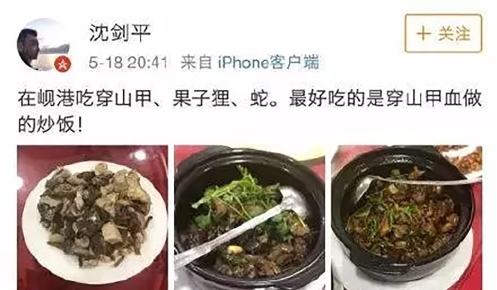 The photos of pangolin meals were posted on Weibo. Photo: 163.com The photos of pangolin meals were posted on Weibo. Photo: 163.com