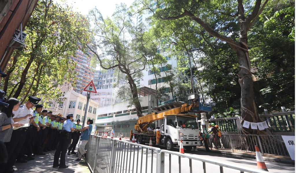 Police on standby as the Lands Department prepares to chop down the two banyan trees. Photo: Edward Wong