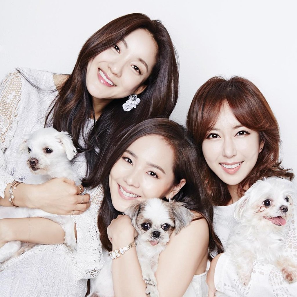 S.E.S. were a force in K-pop during the 1990s. S.E.S. were a force in K-pop during the 1990s.