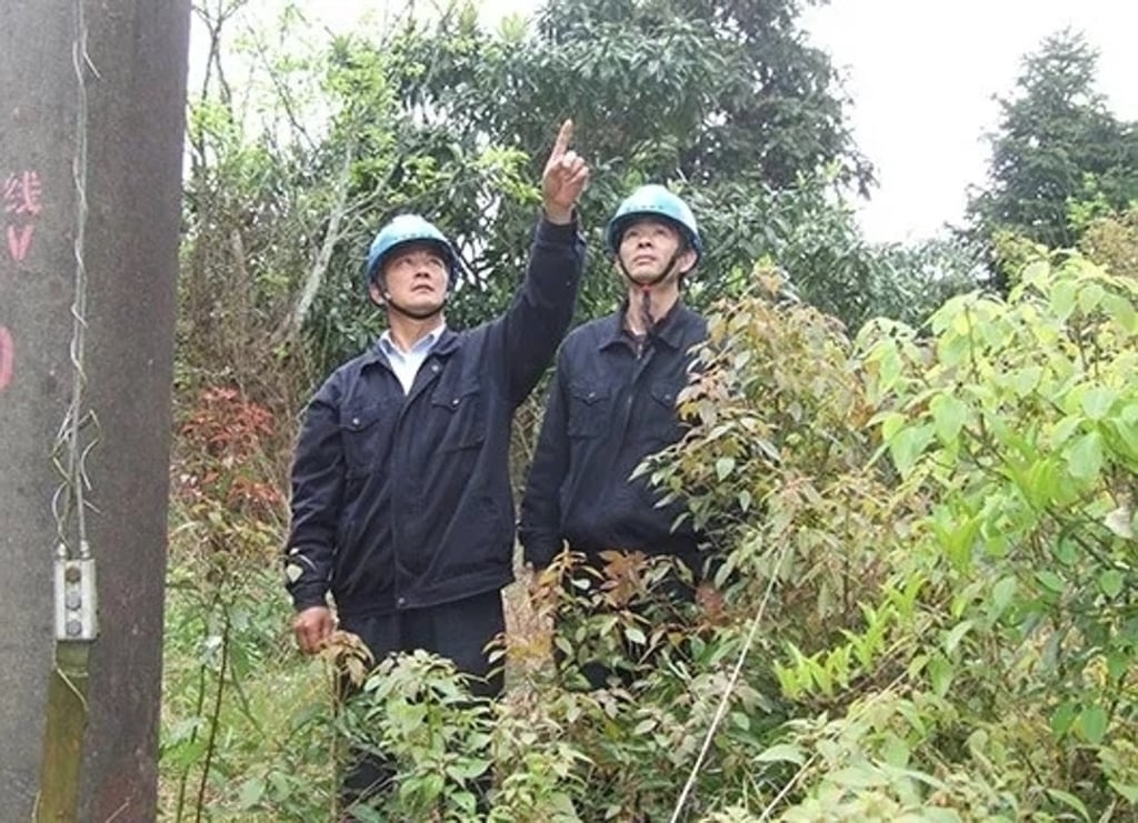 The two power plant workers made their find while walking through a forest on their way to work. Photo: Sm.fjsen.com