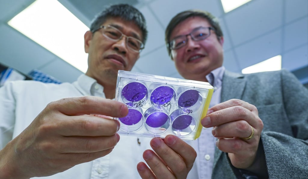 HKU microbiologist Chen Honglin (left) and Chen Zhiwei, who heads HKU’s Aids Institute, are excited about the possibilities state funding could bring. Photo: Nora Tam
