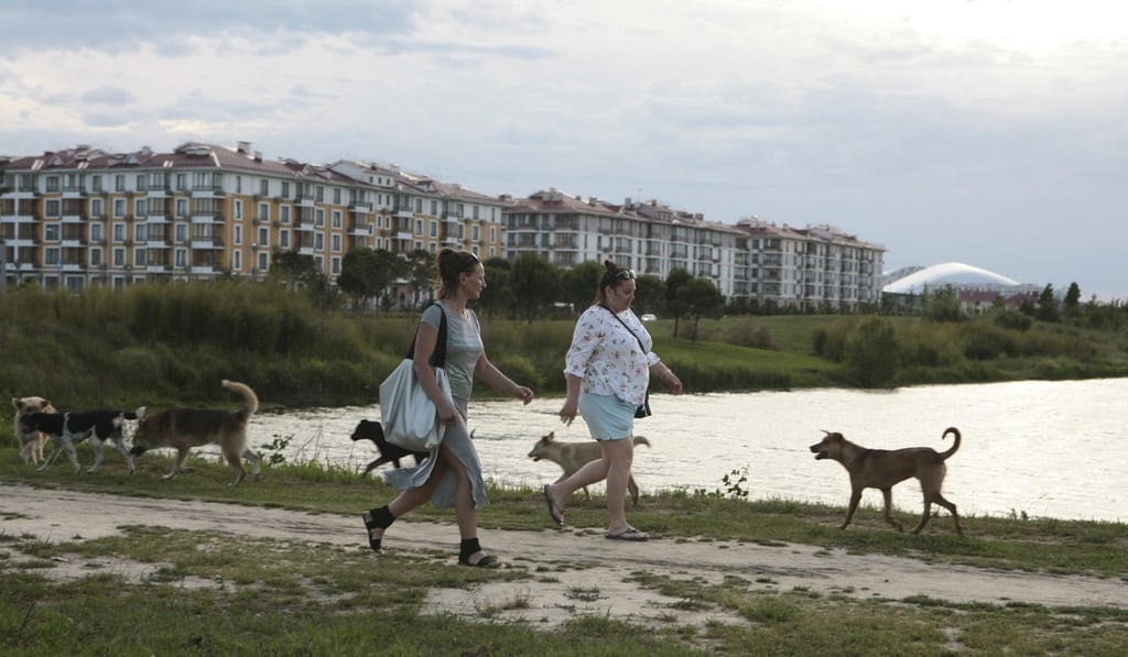 Women walk past stray dogs, with the Fisht Stadium seen in the background, in Sochi, a host city for the 2018 Fifa World Cup, in Russia, on May 18. Photo: Reuters