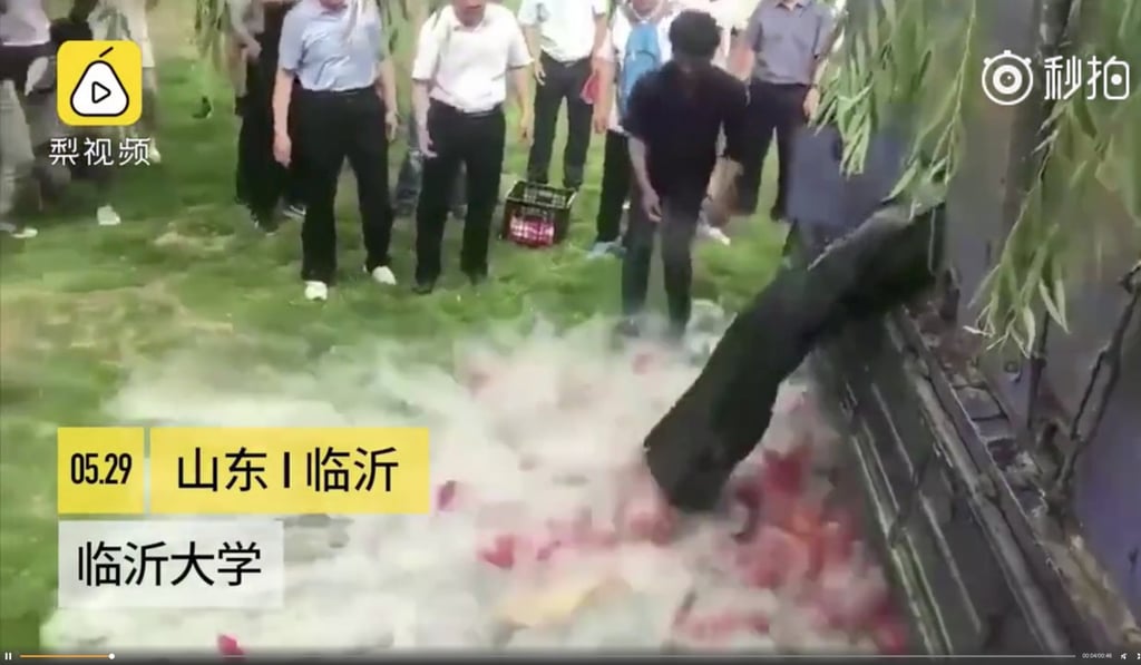 A container full of koi carp bursts open and spills the fish over the ground in front of shocked onlookers.